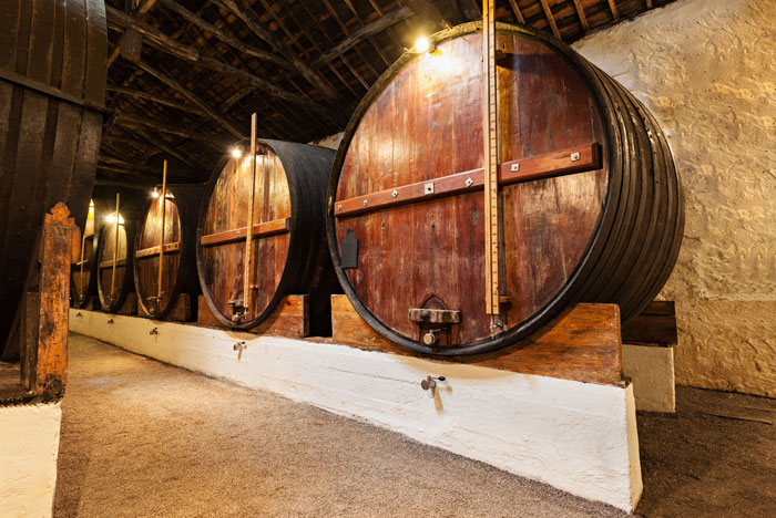 Técnico de Adega (Adegueiro) - Quinta do Mourão (Lamego)